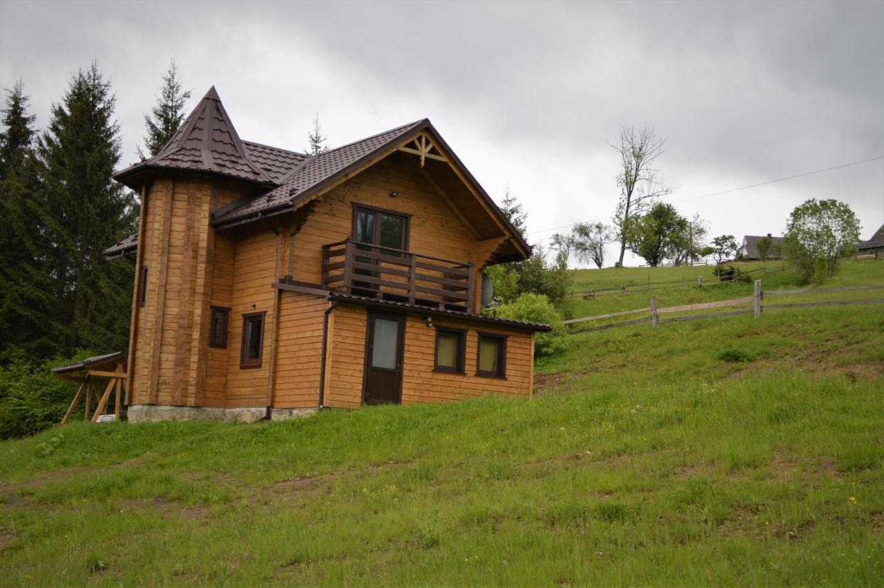 Пагорб Їжака / Hedgehog Hill Βίλα Yablunytsya Εξωτερικό φωτογραφία