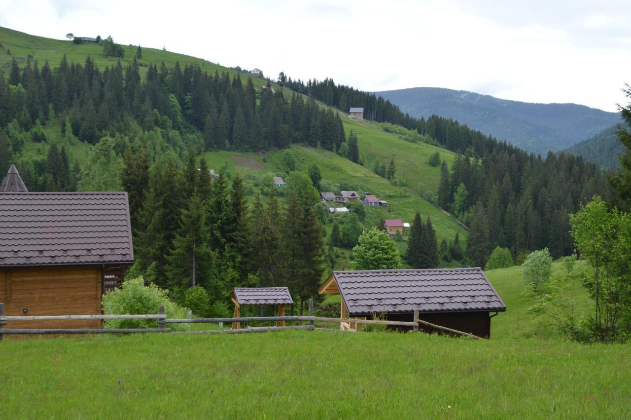 Пагорб Їжака / Hedgehog Hill Βίλα Yablunytsya Εξωτερικό φωτογραφία